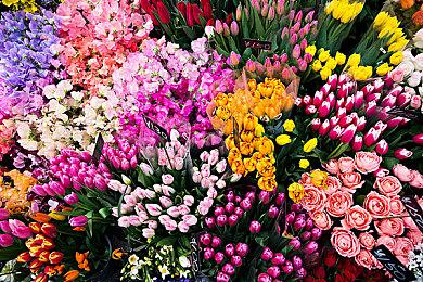 《崩坏：星穹铁道》走近星穹——「貊泽：千里不留行」