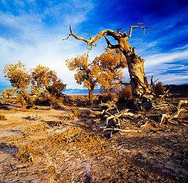 《勇者斗恶龙3 HD-2D 重制版》Steam国区348元